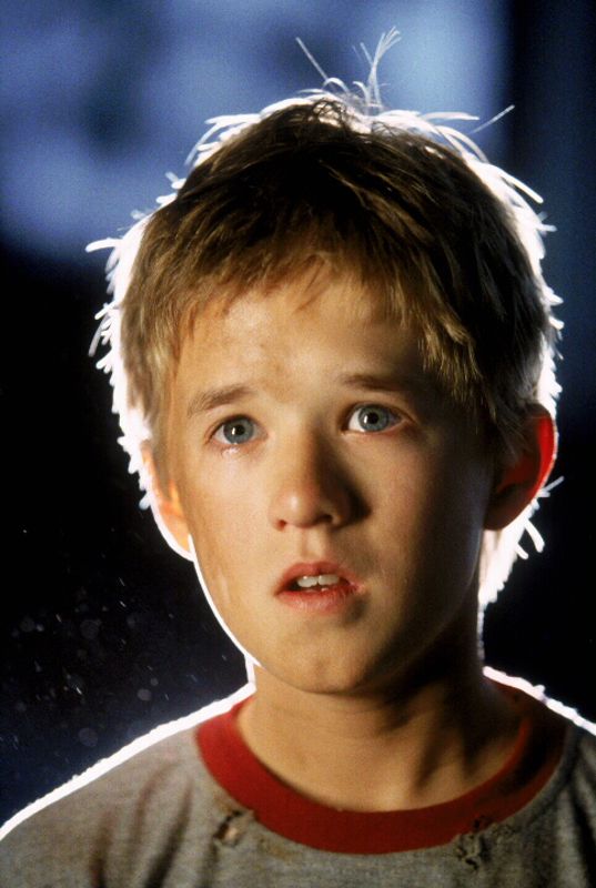 A.I. Artificial Intelligence (2001) - Steven Spielberg | Cast and Crew